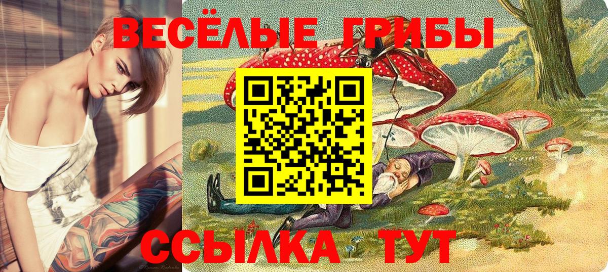 Галлюциногенные грибы Magic Shrooms  Псилоцибиновые грибы MAGIC MUSHROOMS  Вход с VPN  Алейск 