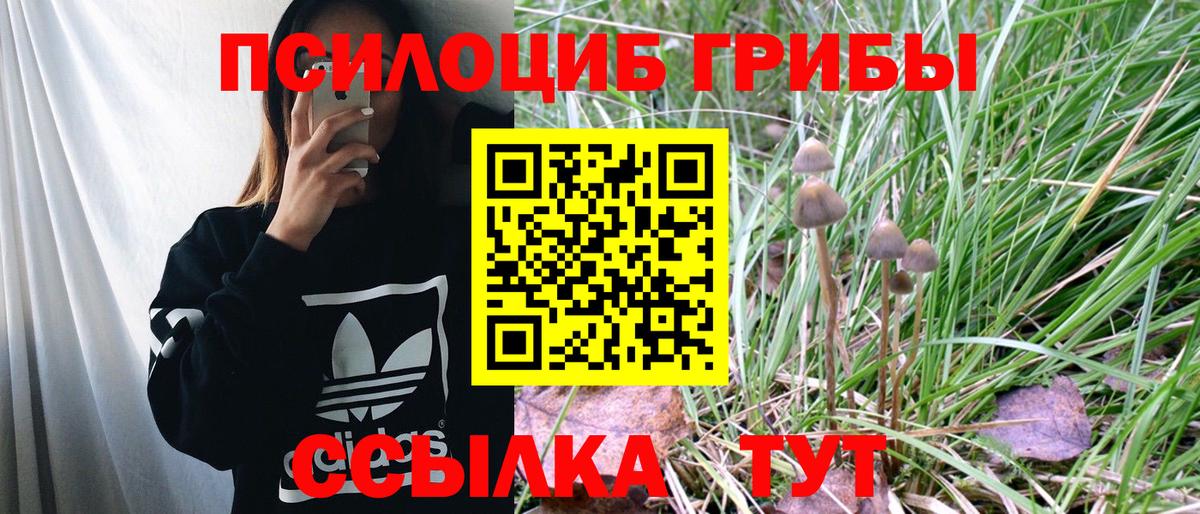 Галлюциногенные грибы MAGIC MUSHROOMS Алейск
